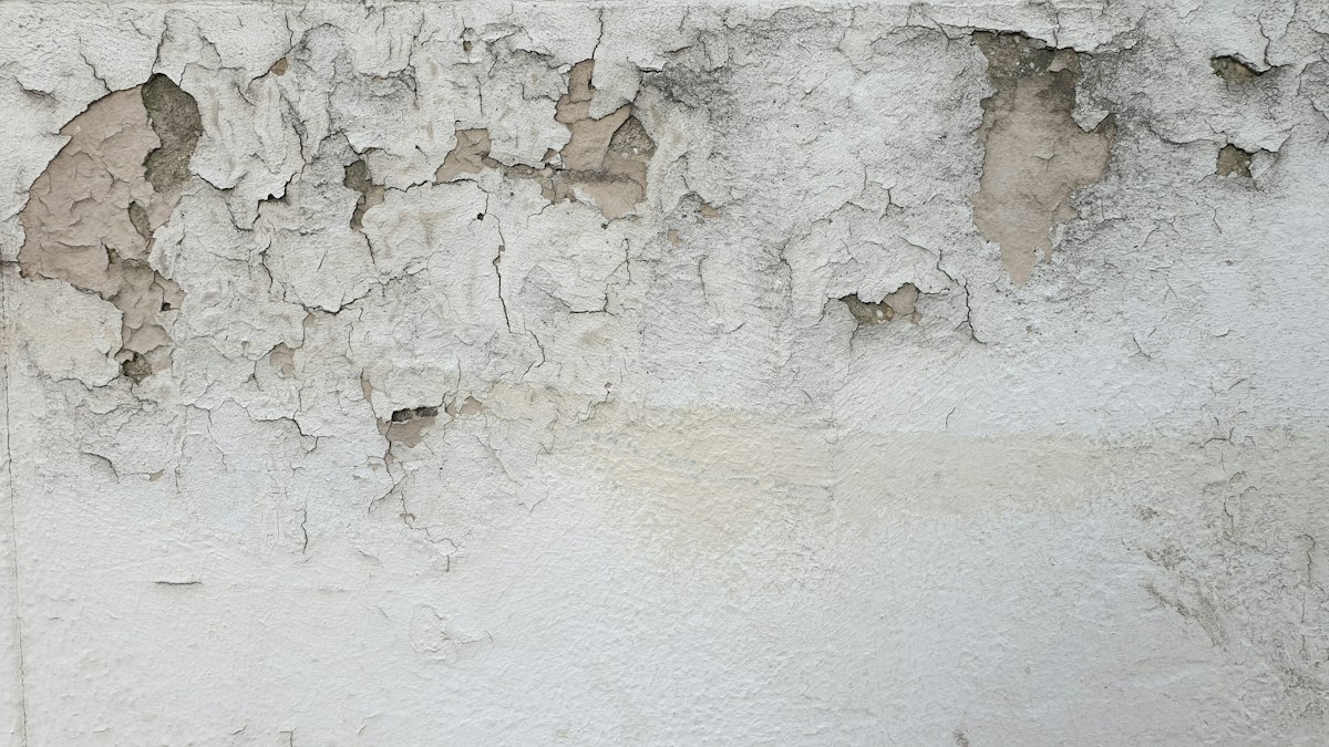 Humedad y pintura desconchada en una pared de una vivienda en Segovia